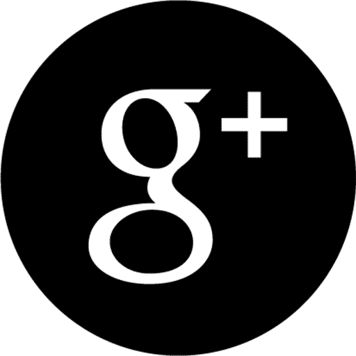 Logo google+